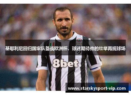 基耶利尼回归国家队备战欧洲杯，球迷期待他的壮举再现球场